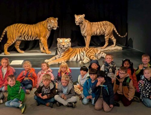 Kita St. Ludgerus besucht Planetarium Münster